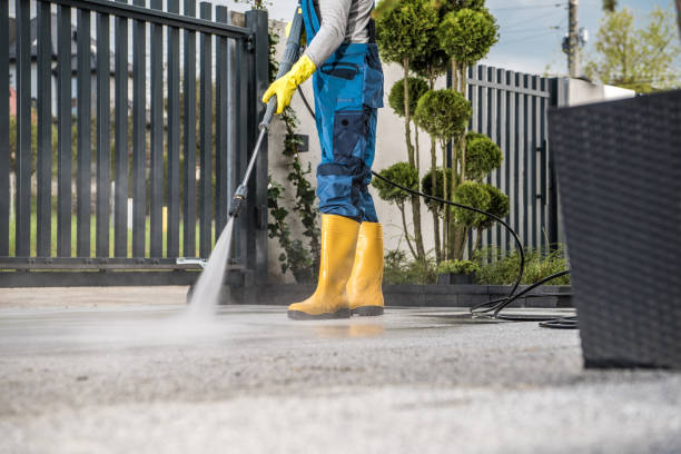 Trusted Hargill, TX Pressure Washing Services Experts