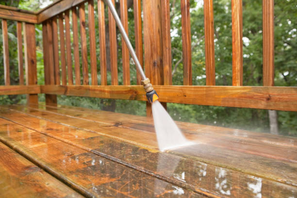 Best Concrete Surface Cleaning in Hargill, TX